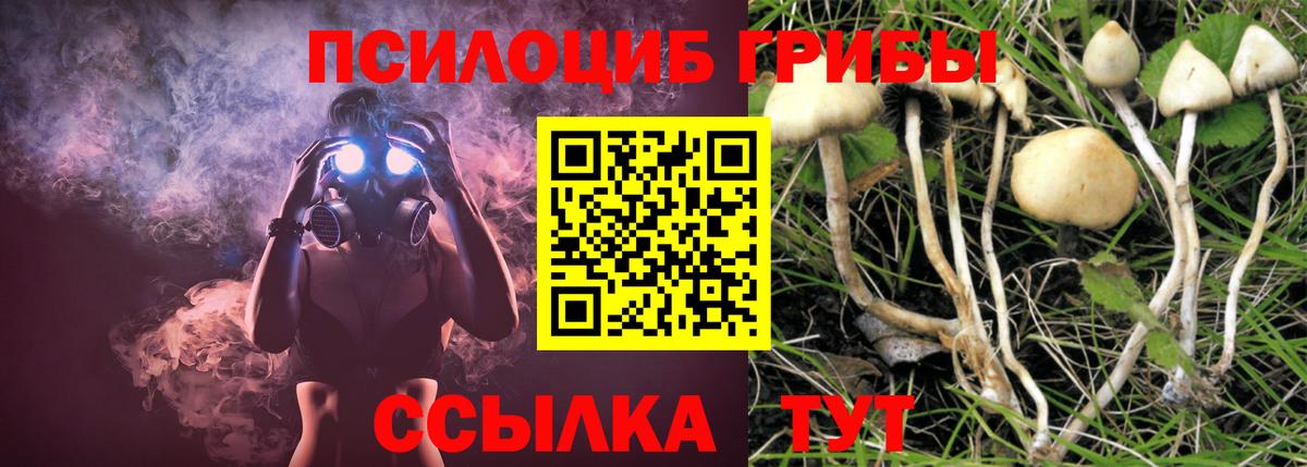 Галлюциногенные грибы мицелий Лыткарино
