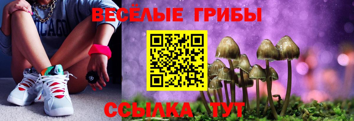 Псилоцибиновые грибы MAGIC MUSHROOMS  Вход с VPN  Лыткарино 
