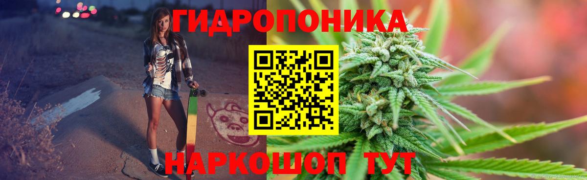 Каннабис конопля Лыткарино